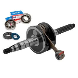 MF7733 Albero Motore + Cuscinetti + Paraolio Malaguti F12R AC 2007 / 2010