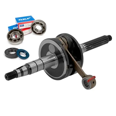 MF7733 Albero Motore + Cuscinetti + Paraolio Malaguti F12R AC 2007 / 2010