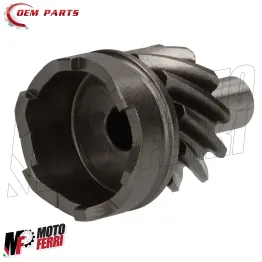 MF7793 Pignone Ingranaggio Messa Moto Gilera Runner 125 180 2T FX FXR 1997/2002 2