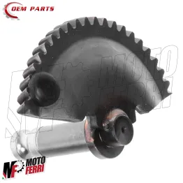 MF7831 Settore Mezza Luna Messa Moto Gilera Runner 125 180 2T FX FXR 1997 / 2002 2