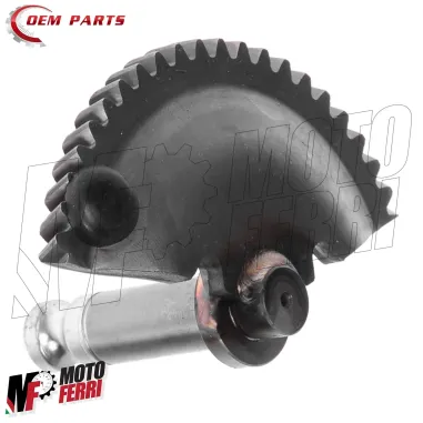 MF7831 Settore Mezza Luna Messa Moto Gilera Runner 125 180 2T FX FXR 1997 / 2002