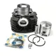 MF1299 - KIT CILINDRO OLYMPIA DM 69 - 224 CC GHISA APE 501 601 CAR TM 703 SP. 18