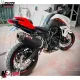 MF7237 Terminale Scarico MIVV Oval Benelli TRK 702 / X mod 2023 2024 Omologato