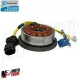 MF7858 Kit Statore Volano Originale Piaggio Beverly 125 / 200 mod 2001 2002 2003