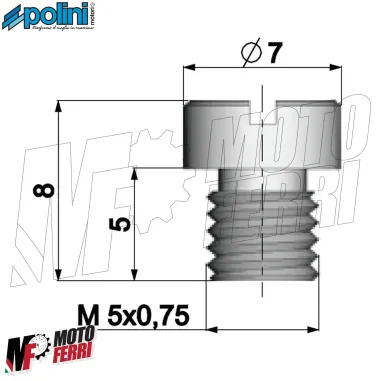 MF7935 Kit 10 getti massimo 110 / 128 per Carburatore Dellorto PHBG 19 - PHBG 21