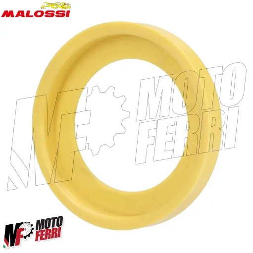 MF7962 Frizione e Campana Maxi Fly Malossi Honda ADV 350 dal 2021 al 2025