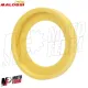 MF7962 Frizione e Campana Maxi Fly Malossi Honda ADV 350 dal 2021 al 2026