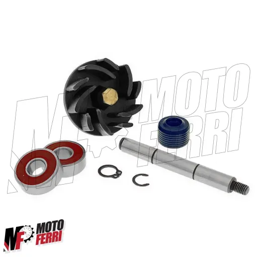 MF2199 Kit Revisione Pompa Acqua Gilera Runner Piaggio Hexagon 125 150 180 2T
