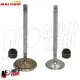 MF8017 Valvole Maggiorate Malossi 4 Stroke Aprilia Leonardo Malaguti Madison 250