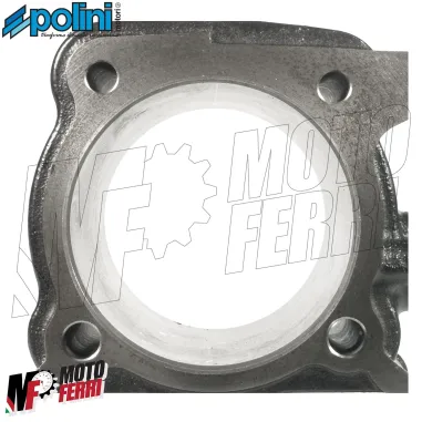 MF8018 Cilindro Modifica da 250 a 290 Polini Yamaha Majesty XMax XCity Madison