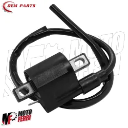 MF8051 Bobina Accensione Minarelli Orizzontale Verticale AM6 SR Ovetto F10 2