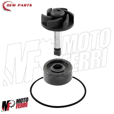 MF8087 Kit Revisione Pompa Acqua Malaguti Madison 125 150 Minarelli 1999 - 2002