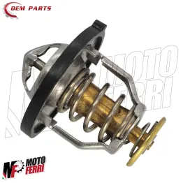 MF8114 Termostato Bulbo Acqua Honda SH 300 dal 2007 al 2017 2
