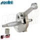 MF1446 ALBERO MOTORE POLINI FOR RACE ANTICIPATO CORSA 51 CONO 20 VESPA 50 Special PK 125 ET3 PRIMAVERA APE