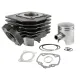MF8170 Kit Cilindro Dm 39 Peugeot Speedfight Buxy Squab Elyseo Looxor 50 2T AC