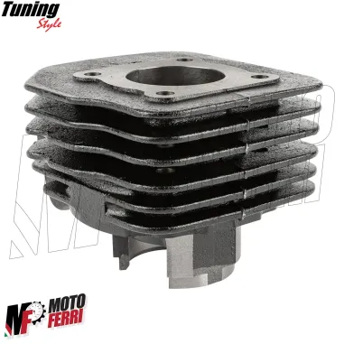 MF8170 Kit Cilindro Dm 39 Peugeot Speedfight Buxy Squab Elyseo Looxor 50 2T AC