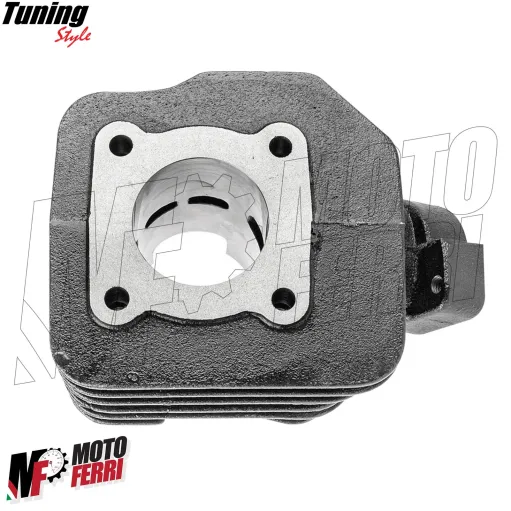 MF8170 Kit Cilindro Dm 39 Peugeot Speedfight Buxy Squab Elyseo Looxor 50 2T AC
