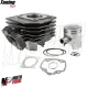 MF8170 Kit Cilindro Dm 39 Peugeot Speedfight Buxy Squab Elyseo Looxor 50 2T AC