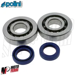MF1464 Cuscinetti Paraoli Banco Albero Motore Polini Motore Piaggio Gilera 50 2T 2