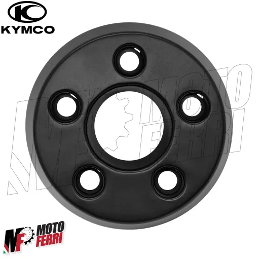 MF5457 Fondello Terminale Marmitta Originale Kymco XCiting 300 / 500 R 2007-2014