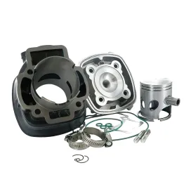 MF1472 Cilindro DR EVO 70 DM 48 per Gilera Runner SP 50 2T LC Spinotto 12