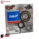 MF8240 Albero Motore Ape TM 602 703 Benzina + Gabbia a rulli Cuscinetti Paraoli