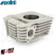 MF8249 Kit Cilindro Polini 80cc Dm 49 Vespa Primavera / Sprint 50 4T (2018-2024)