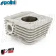 MF8249 Kit Cilindro Polini 80cc Dm 49 Vespa Primavera / Sprint 50 4T (2018-2024)