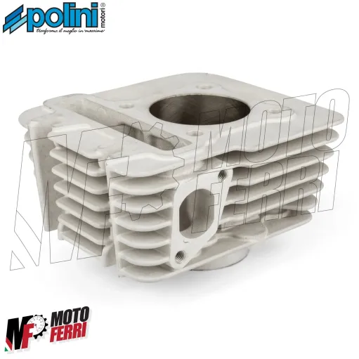 MF8249 Cilindro Polini 80cc Dm 49 Aprilia Scarabeo 50 4T 4V dal 2009 al 2018