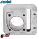 MF8249 Cilindro Polini 80cc Dm 49 Aprilia Scarabeo 50 4T 4V dal 2009 al 2018