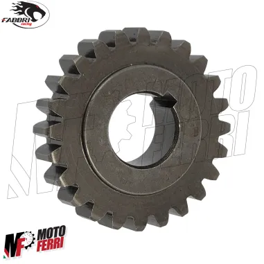 MF2788 Campana Frizione Fabbri Racing 24 72 Vespa 50 Special 125 ET3 Primavera PK S XL Ape
