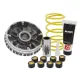 MF1694 Variatore Malossi Multivar Yamaha XCity 250 / XMax 250 / Majesty 250