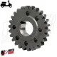 MF0888 Ingranaggio Pignone Z 26 per Campana Denti Dritti 69-27 Vespa 50 125