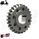 MF0888 Ingranaggio Pignone Z 26 per Campana Denti Dritti 69-27 Vespa 50 125