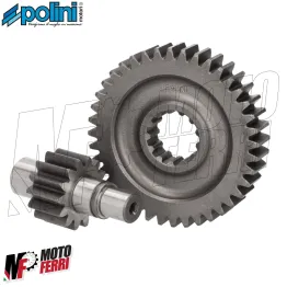 MF8299 Ingranaggi Secondari z14/40 Polini Malaguti Crosser CR1 / Italjet Formula 2