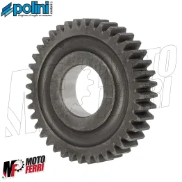 MF8305 Ingranaggi Secondari z17/40 Polini Yamaha CR 50 Z / MBK Target 50 2T 2