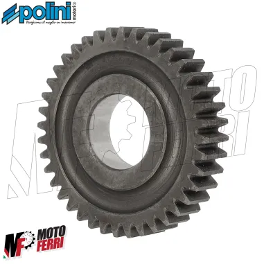 MF8305 Ingranaggi Secondari z17/40 Polini Yamaha CR 50 Z / MBK Target 50 2T