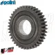 MF8305 Ingranaggi Secondari z17/40 Polini Yamaha CR 50 Z / MBK Target 50 2T