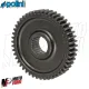 MF8306 Ingranaggi Secondari z16/47 Polini Gilera Runner Typhoon / Aprilia SR 50