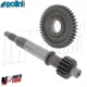 MF8307 Ingranaggi Secondari z16/42 Polini Kymco Sniper 50 2T