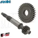 MF8308 Ingranaggi Secondari z16/32 Polini Honda Dio SP / SR / ZX - Kymco DJ