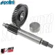 MF1891 Ingranaggi Primari Allungati 13 - 44 Polini F12 Aerox Booster F15 50 2T