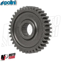 MF8309 Ingranaggi Secondari z16/37 Polini Piaggio Zip Sfera Quartz - Dm 17.67 2