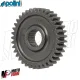 MF8309 Ingranaggi Secondari z16/37 Polini Piaggio Zip Sfera Quartz - Dm 17.67