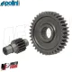 MF8309 Ingranaggi Secondari z16/37 Polini Piaggio Zip Sfera Quartz - Dm 17.67