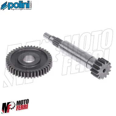 MF8311 Ingranaggio Primario z14/43 Polini Yamaha CT MBK Sorriso Italjet Pista 50