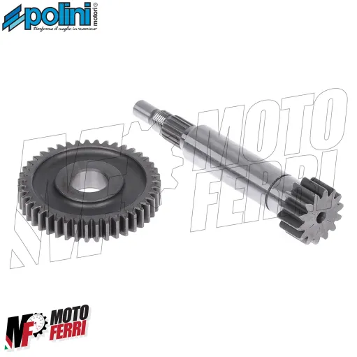 MF8311 Ingranaggio Primario z14/43 Polini Yamaha CT MBK Sorriso Italjet Pista 50