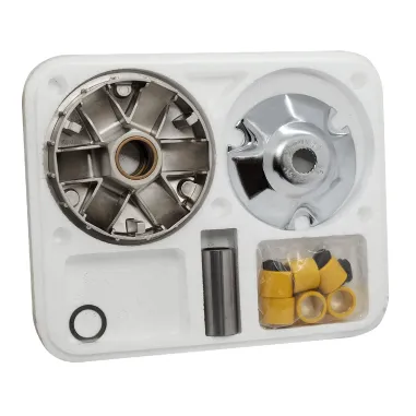 MF8331 Variatore Polini Piaggio NRG MC2 MC3 Power Liberty Gilera Runner 50 2T