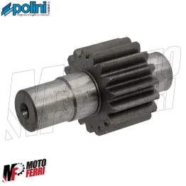 MF8338 Ingranaggi Allungati z17/43 Polini per Honda Wallaroo 50 2T 2