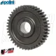 MF8338 Ingranaggi Allungati z17/43 Polini per Honda Wallaroo 50 2T